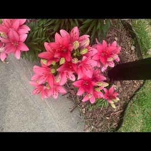 Meet your Posher, Debbie